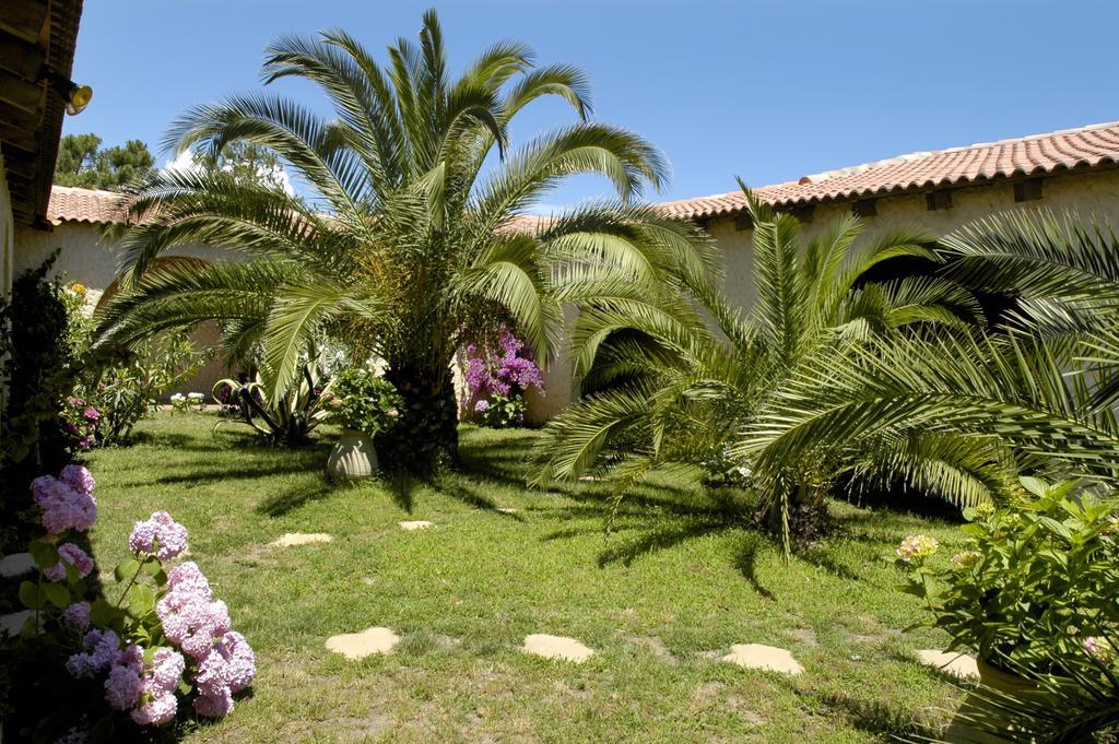 Hotel Pineto Biguglia  Værelse billede